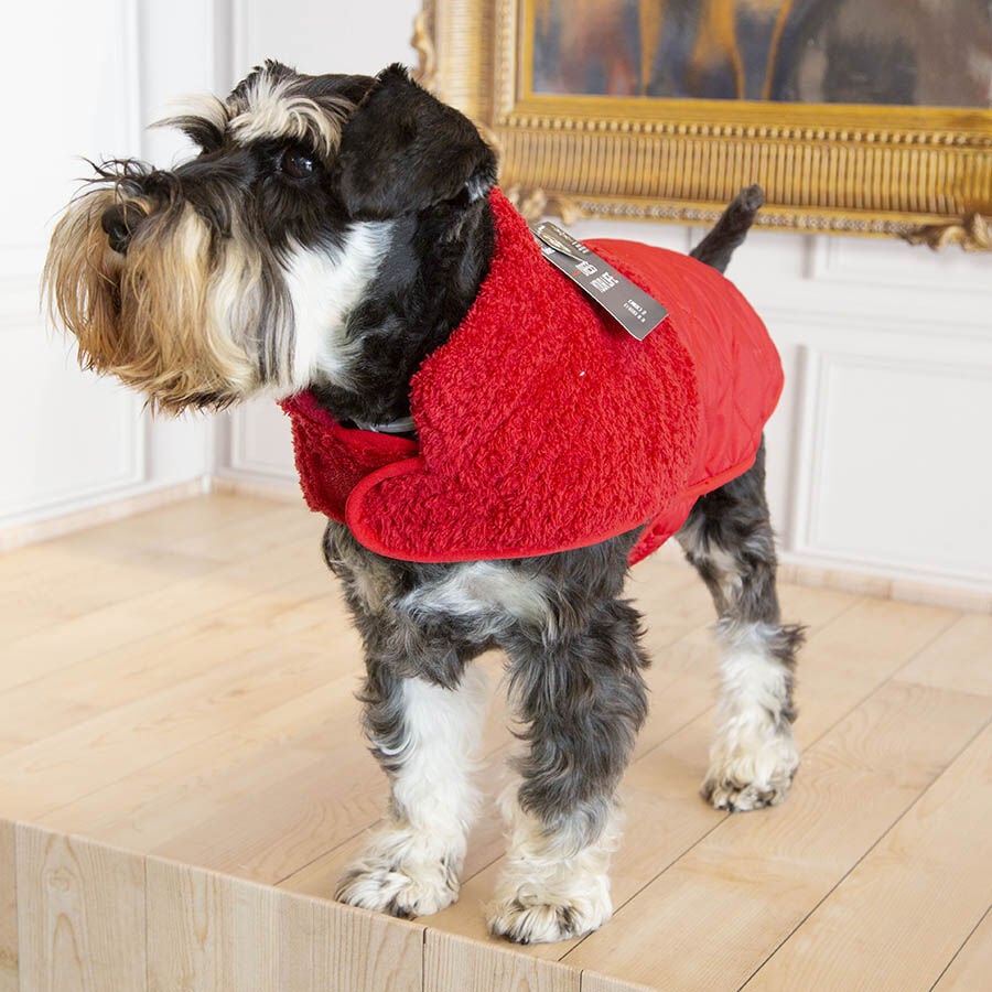 Outech Bi-Texture Abrigo Rojo para perros, , large Imagen numero 10